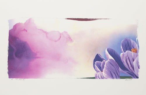 Shy Dawn III Digital | Michael Knigin,{{product.type}}