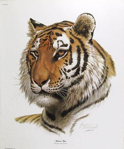 Siberian Tiger Lithograph | Guy Coheleach,{{product.type}}