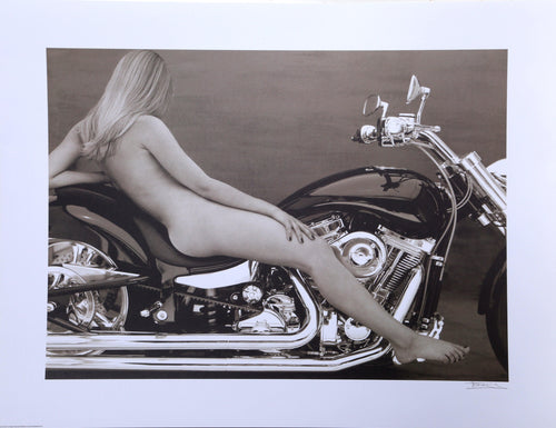 Silk and Silver poster | Harvey Edwards,{{product.type}}