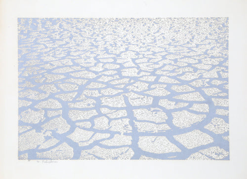 Silver Earth Etching | Menashe Kadishman,{{product.type}}
