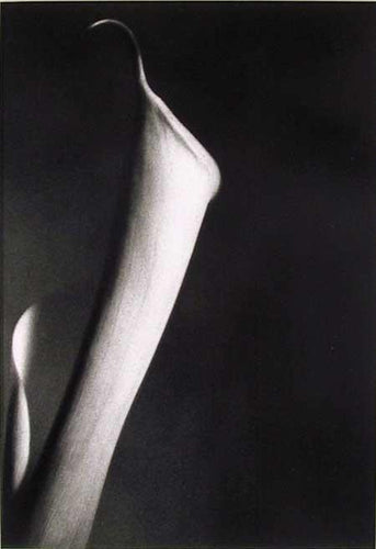 Single Cala Black and White | John Benigno,{{product.type}}