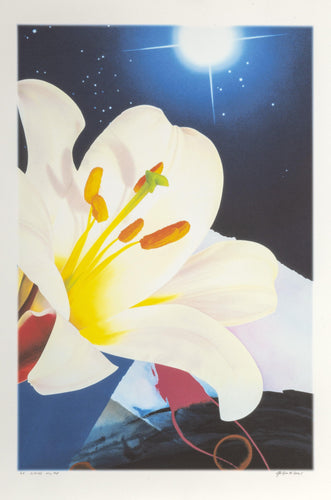 Sitting on Top Digital | Michael Knigin,{{product.type}}