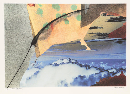 Sky Stalker Digital | Michael Knigin,{{product.type}}