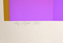 Skylight XXV Screenprint | Evelyn B. Johnson,{{product.type}}