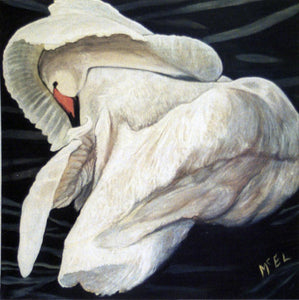 Sleeping Swan Acrylic | Gary Paul McElrath,{{product.type}}