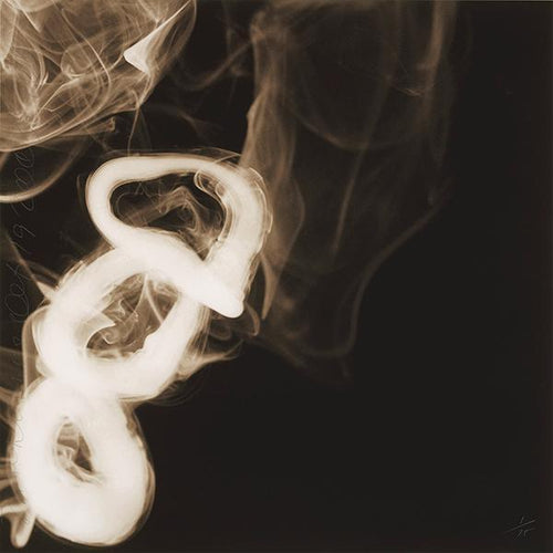 Smoke Rings, October 19, 2005 Digital | Donald Sultan,{{product.type}}
