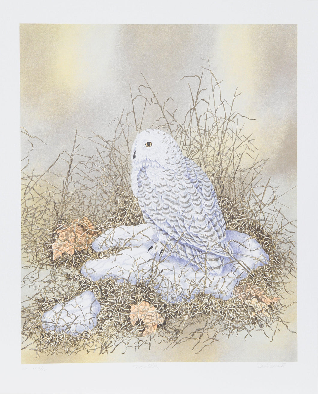 Snow Owl Lithograph | Chris Forrest,{{product.type}}