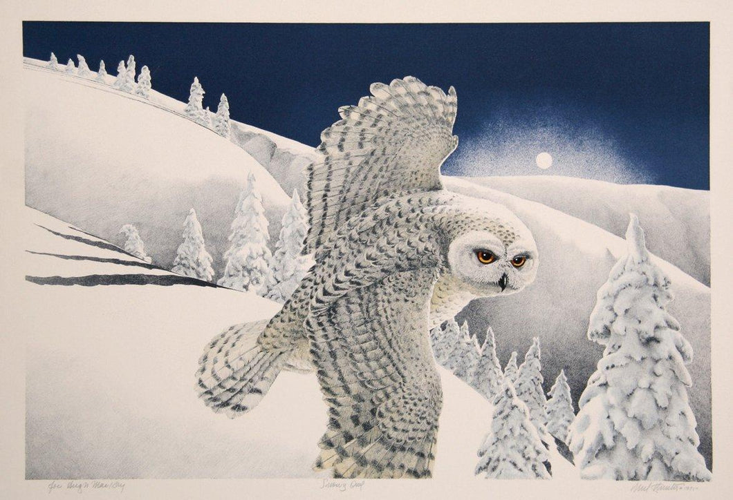 Snowy Owl Lithograph | Mel Hunter,{{product.type}}