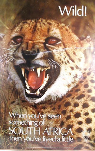 South Africa - Wild! Poster | Travel Poster,{{product.type}}