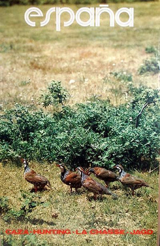 Spain - Espana: Casa Hunting Poster | Travel Poster,{{product.type}}