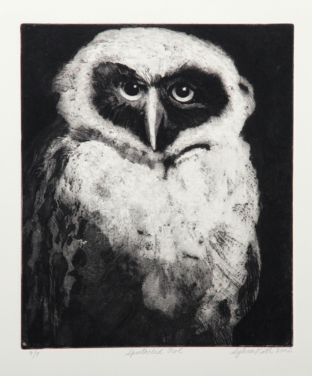 Spectacled Owl Etching | Sylvia Roth,{{product.type}}