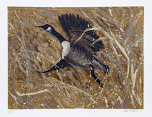 Squawking Honker Lithograph | Allen Friedman,{{product.type}}