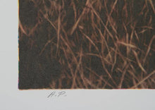 Stalking Lion Lithograph | Nancy Glazier,{{product.type}}