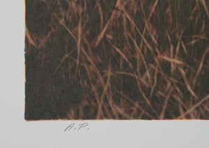 Stalking Lion Lithograph | Nancy Glazier,{{product.type}}