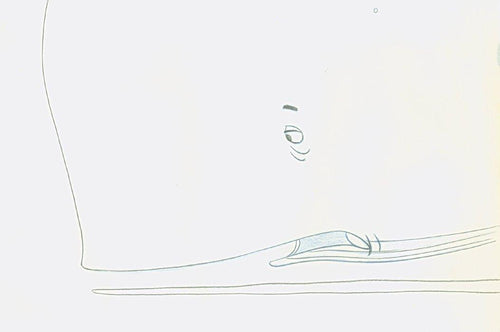 Starkist Tuna Whale - 8 Comic Book / Animation | Tom Rogers,{{product.type}}