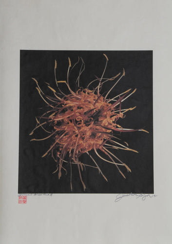 Static Ball Color | Jonathan Singer,{{product.type}}