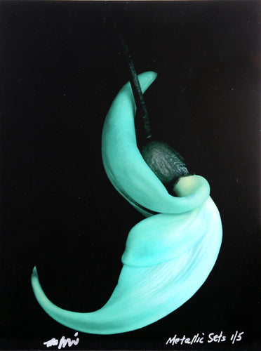 Strongylodon Macrobotrys from the Metallic Sets Color | Jonathan Singer,{{product.type}}