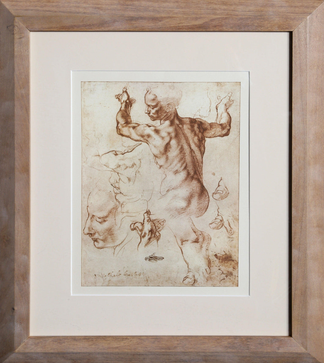 Studi per la Sibilla Libica from Disegni di Michelangelo Lithograph | Michelangelo,{{product.type}}