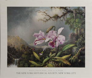 Study of an Orchid Poster | Martin Johnson Heade,{{product.type}}