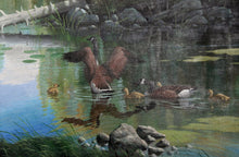 Sunday Outing (Canadian Geese Family) Acrylic | Marcel Bordei,{{product.type}}