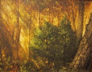 Sunlit Grove Oil | Harry Lane,{{product.type}}