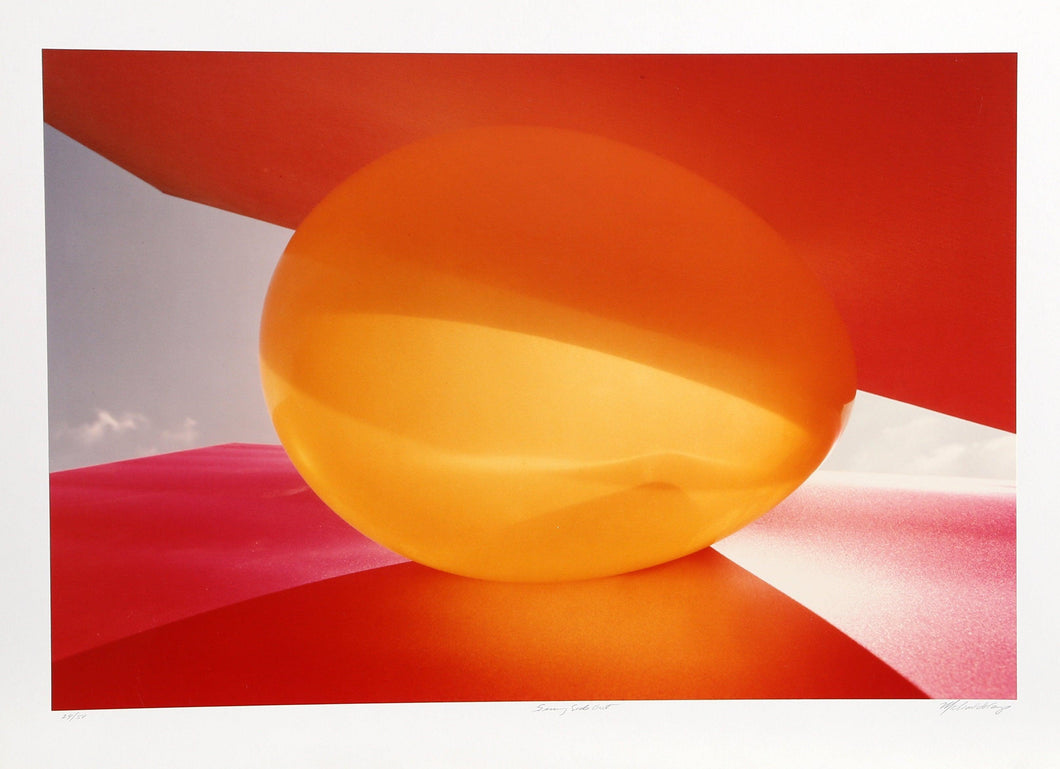 Sunny Side Out Color | Michael DeCamp,{{product.type}}