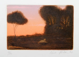 Sunset Etching | Chris Pfister,{{product.type}}