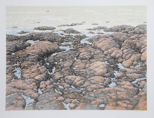 Surf Point Screenprint | Peter Holbrook,{{product.type}}