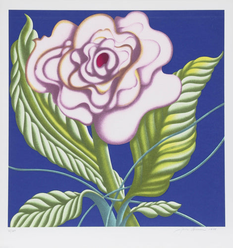 Sweet Violet Screenprint | Jack Brusca,{{product.type}}