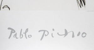 Sylvette de Profil Gouche (Sylvette David) Lithograph | Pablo Picasso,{{product.type}}