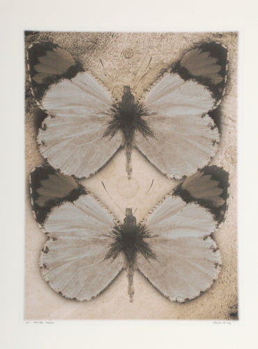 Tainted Angels Digital | Michael Knigin,{{product.type}}