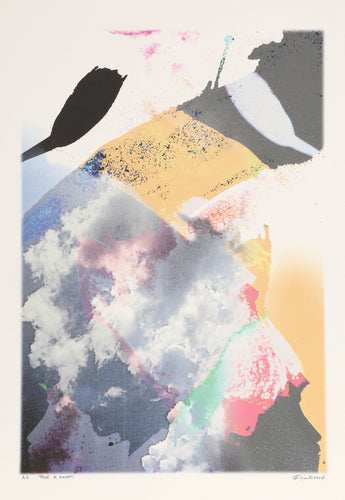 Take a Dream Digital | Michael Knigin,{{product.type}}