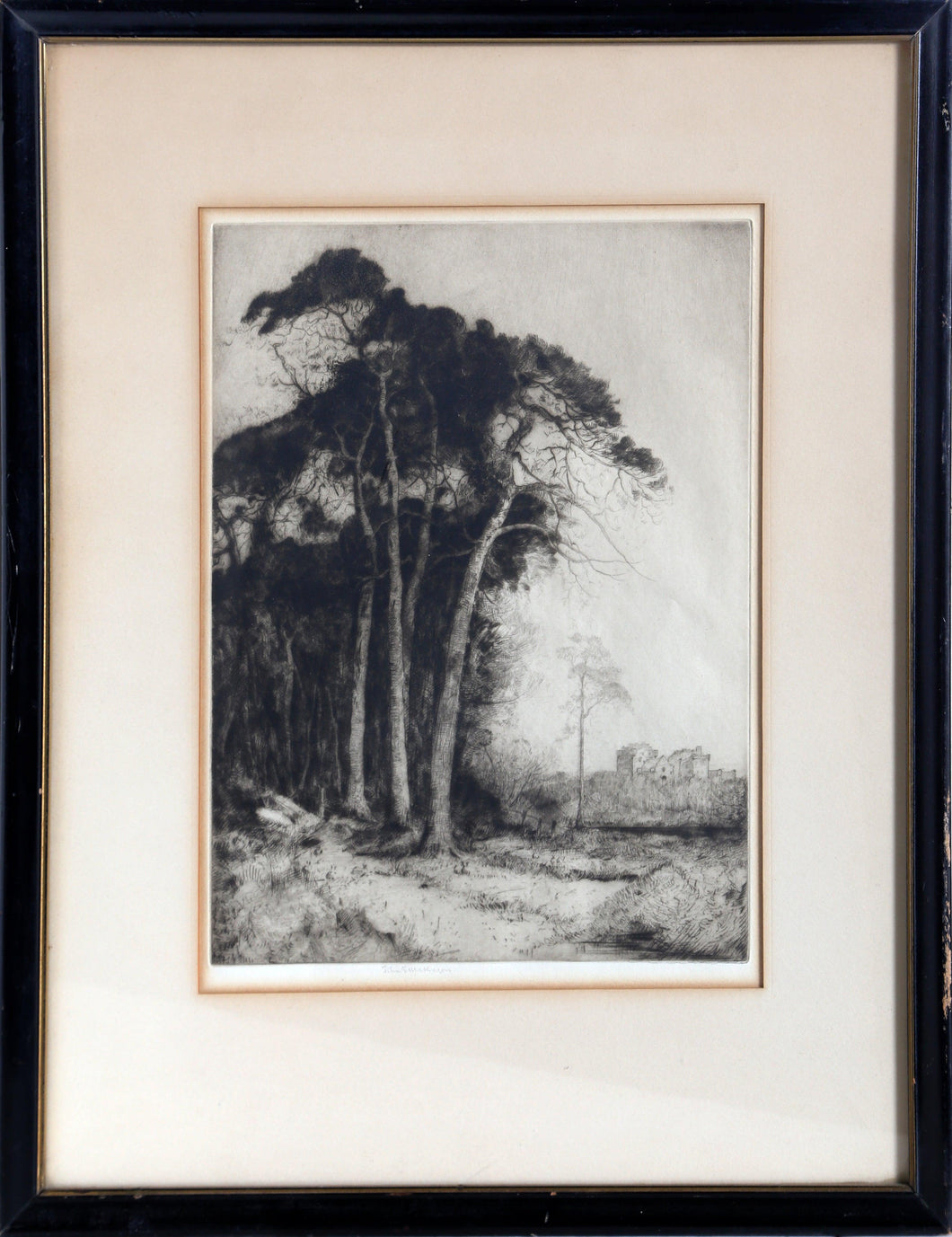 Tall Trees Etching | John George Mathieson,{{product.type}}