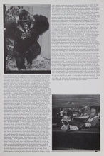 Temporary Variations in Experienced Type from General Dynamic F.U.N. Portfolio Lithograph | Eduardo Paolozzi,{{product.type}}