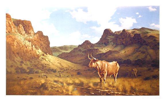 Texas Longhorn Lithograph | Robert Summers,{{product.type}}