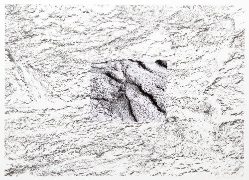 Texture 1 Mixed Media | Alan Sonfist,{{product.type}}