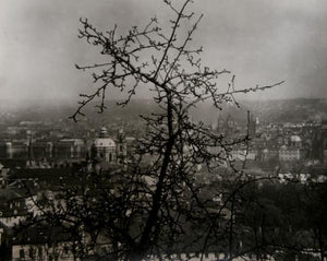 The Advent of Spring in Prague Black and White | Josef Sudek,{{product.type}}