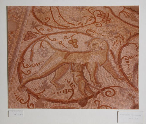 The Child Grew and Was Weaned Color | Theodore Cohen,{{product.type}}