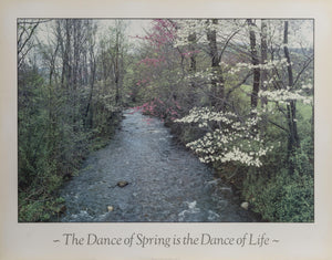 The Dance of Spring is the Dance of Life Poster | Harold Davis,{{product.type}}