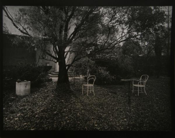 The Enchanting Garden Black and White | Josef Sudek,{{product.type}}