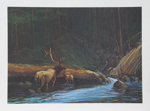 The Old Bull Lithograph | Bill Elliott,{{product.type}}