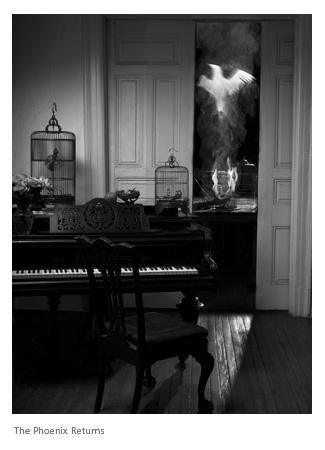 The Phoenix Returns from the Leon Eyrie Series Black and White | Lauren Bilanko,{{product.type}}