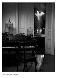 The Phoenix Returns from the Leon Eyrie Series Black and White | Lauren Bilanko,{{product.type}}