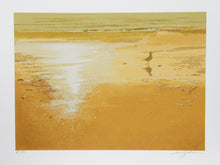 The Seagull Screenprint | Harry Schaare,{{product.type}}