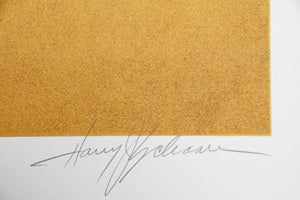 The Seagull Screenprint | Harry Schaare,{{product.type}}