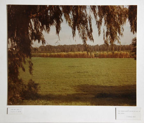 The Tender Grass Springith Out of The Earth Color | Theodore Cohen,{{product.type}}