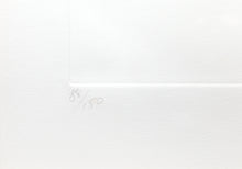 The Tiger Etching | Vick Vibha,{{product.type}}