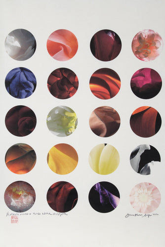 The Tondos Color | Jonathan Singer,{{product.type}}