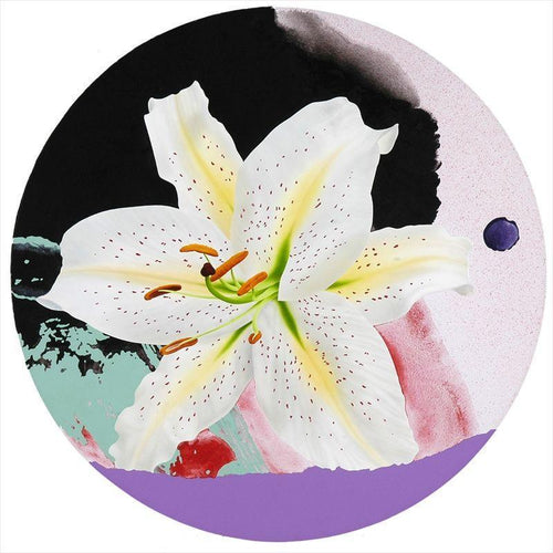 The White Lily Acrylic | Michael Knigin,{{product.type}}