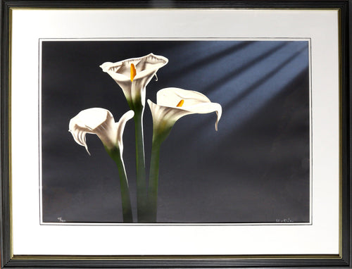 Three Calla Lillies Lithograph | Jochen Labriola,{{product.type}}